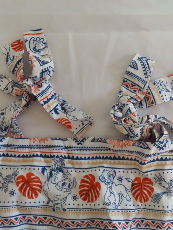 Disney Dresses & Skirts - Disney The Lion King Dress